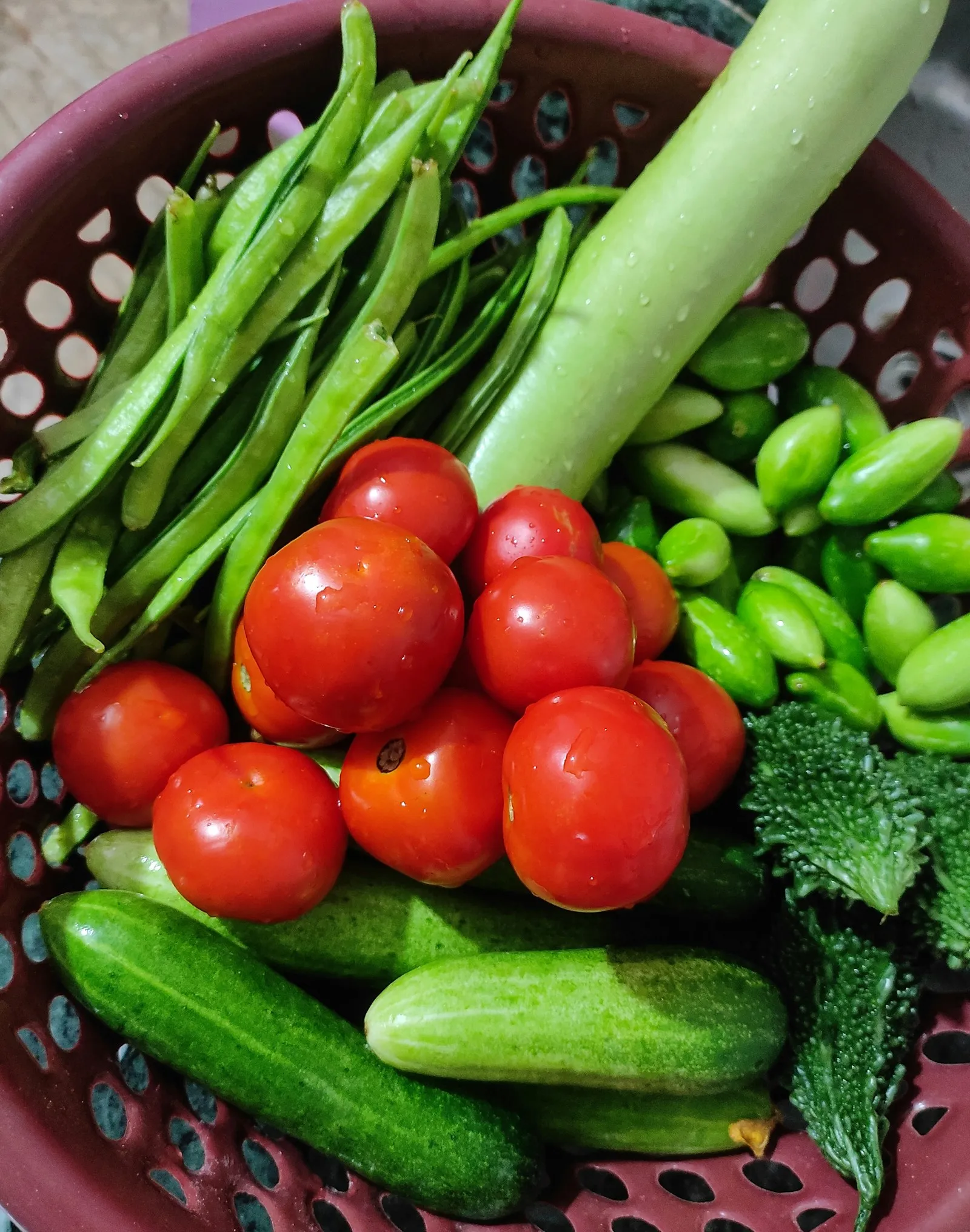 ざるに盛られたトマト・きゅうり・いんげんなどの野菜